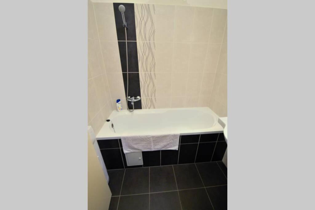 City Center Apartment Debrecen Kültér fotó